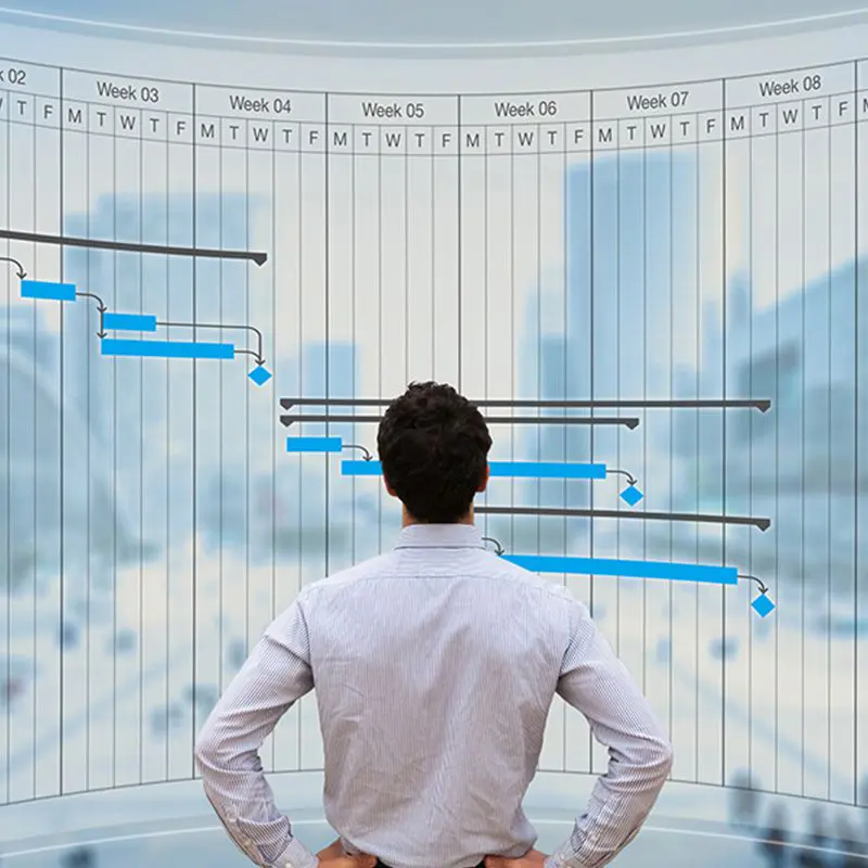 man studying charts